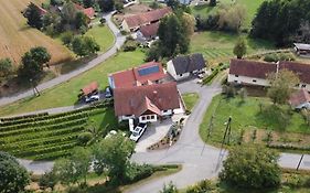 Camping am Weinbauernhof